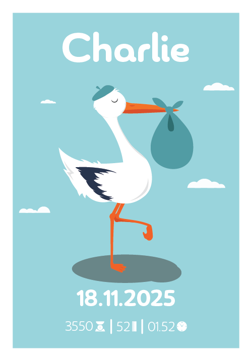 Baby Buddet stork fødselsplakat fra Bilibam med stork på ét ben, stofpose i næbbet og plads til personliggørelse med navn, fødselsdato, vægt og længde.